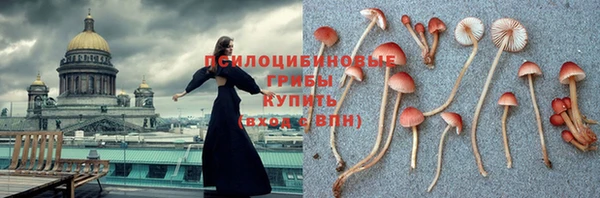 гидропоника Верхнеуральск